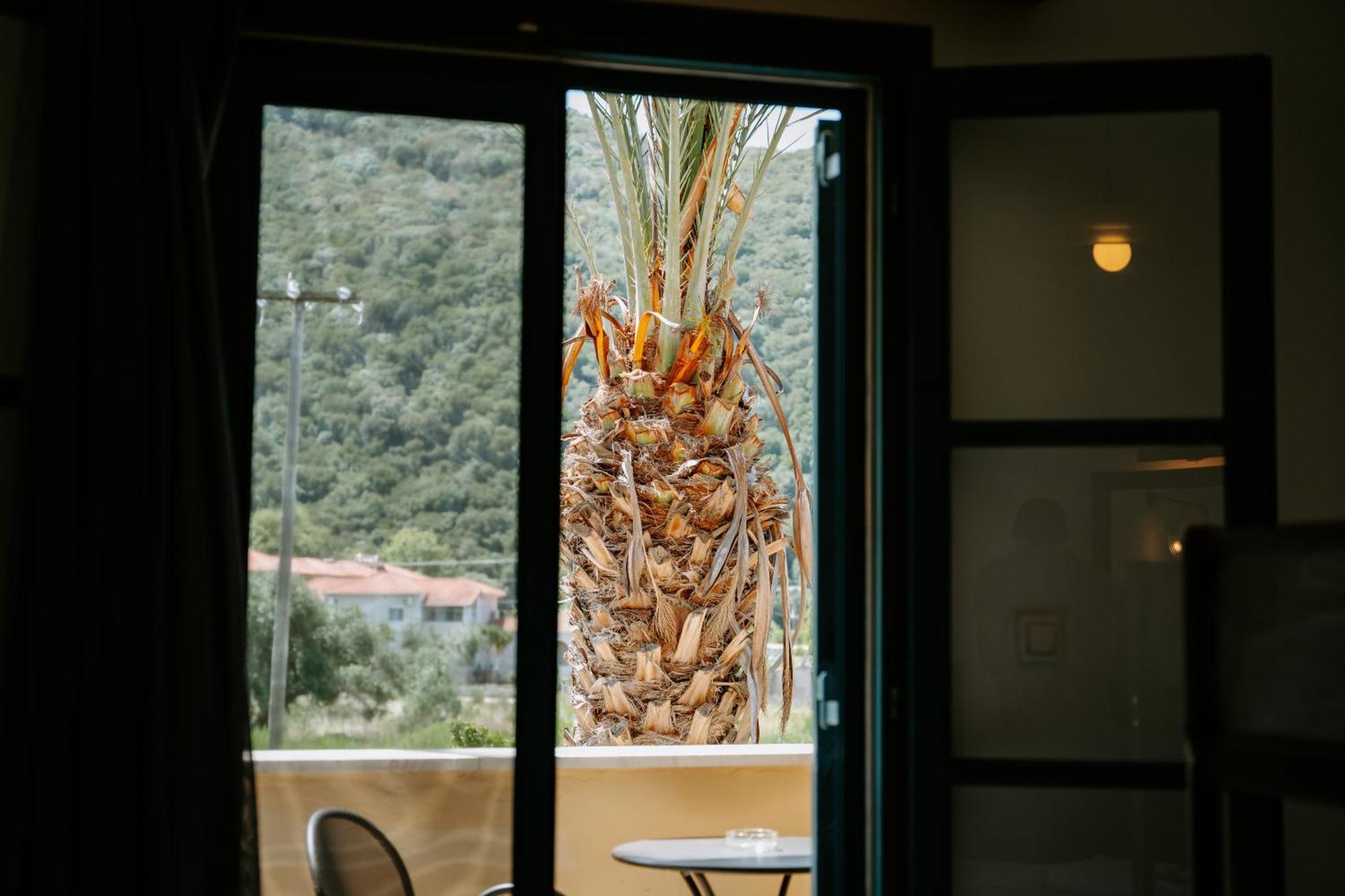 Karavostasi Beach Hotel Pérdika Kültér fotó